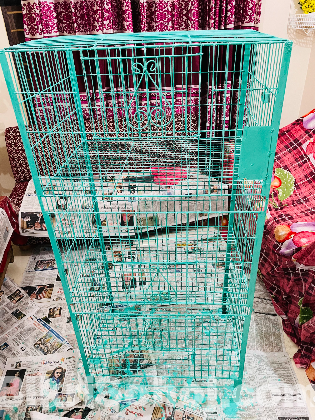 খাচা বিক্রি করা হবে । khacha bikri kora hobe.